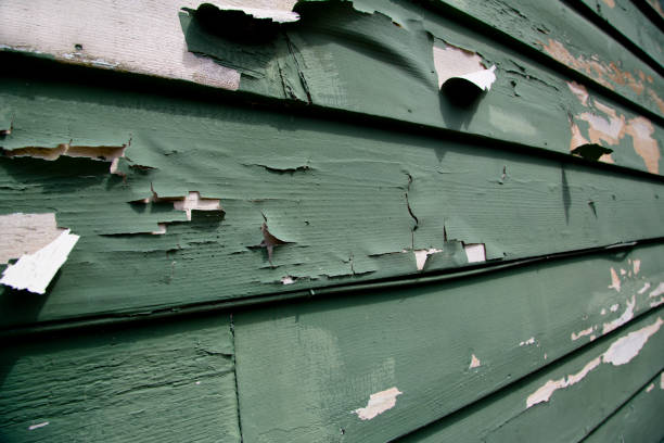  Immokalee, FL Junk Removal Pros